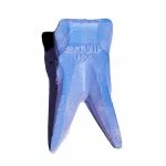 21Tviphx Hensley Double Tiger Bucket Dentans
