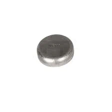 Boutons d'usure des composants de moulage WB115